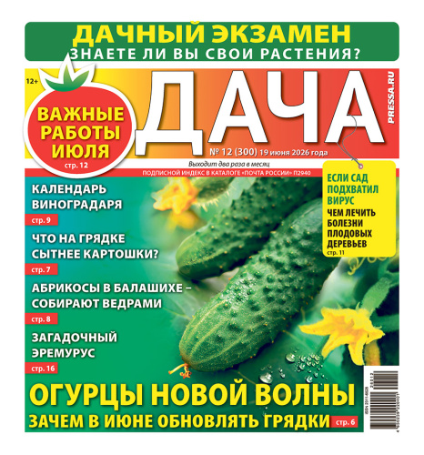 Газета ДАЧА